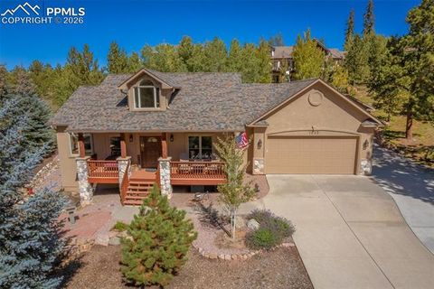 Tiny photo for 1035 Parkway Lane, Woodland Park, CO 80863 (MLS # 8726084)