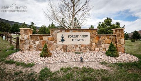 Tiny photo for 374 Hoover Lane, Palmer Lake, CO 80133 (MLS # 1606805)