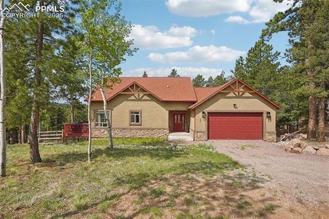 73 Aspen Drive Woodland Park CO 80863