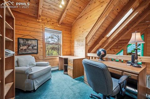Tiny photo for 75 Midnight Lane, Florissant, CO 80816 (MLS # 5936074)