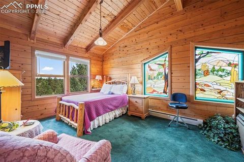 Tiny photo for 75 Midnight Lane, Florissant, CO 80816 (MLS # 5936074)