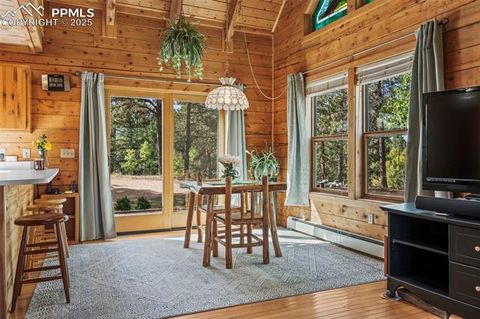 Tiny photo for 75 Midnight Lane, Florissant, CO 80816 (MLS # 5936074)