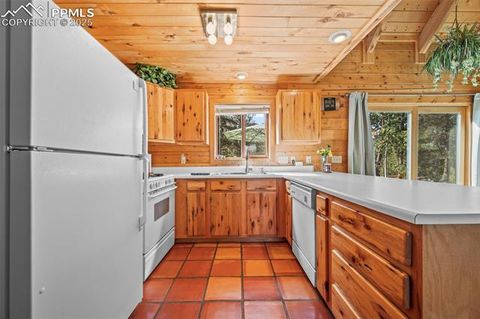 Tiny photo for 75 Midnight Lane, Florissant, CO 80816 (MLS # 5936074)
