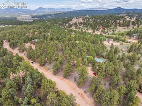 Tiny photo for 75 Midnight Lane, Florissant, CO 80816 (MLS # 5936074)