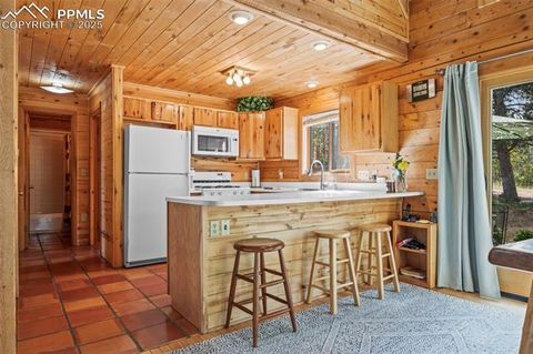 Tiny photo for 75 Midnight Lane, Florissant, CO 80816 (MLS # 5936074)
