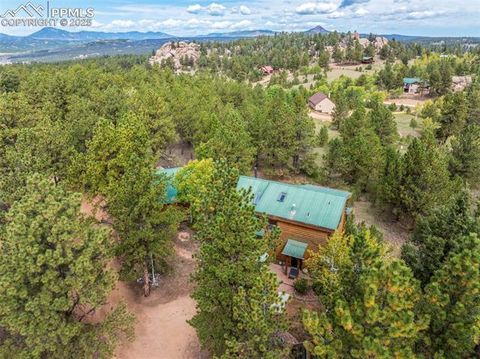 Tiny photo for 75 Midnight Lane, Florissant, CO 80816 (MLS # 5936074)