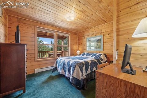 Tiny photo for 75 Midnight Lane, Florissant, CO 80816 (MLS # 5936074)