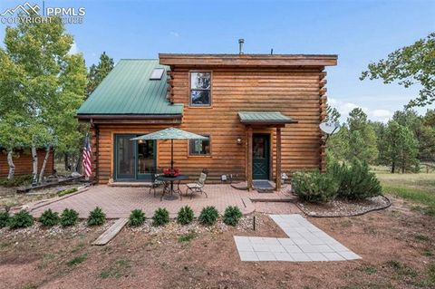 Photo of 75 Midnight Lane, Florissant, CO 80816 (MLS # 5936074)
