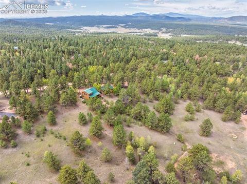 Tiny photo for 75 Midnight Lane, Florissant, CO 80816 (MLS # 5936074)