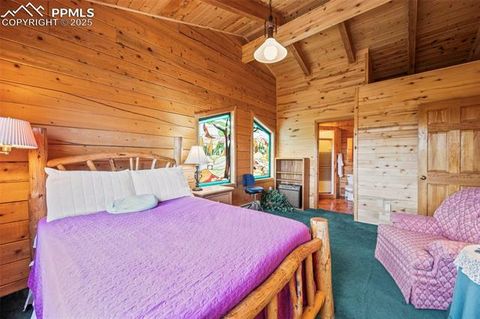 Tiny photo for 75 Midnight Lane, Florissant, CO 80816 (MLS # 5936074)