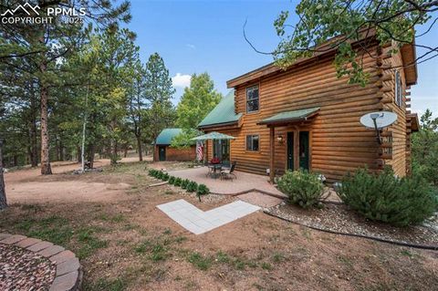 Tiny photo for 75 Midnight Lane, Florissant, CO 80816 (MLS # 5936074)