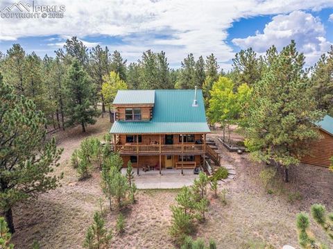 Tiny photo for 75 Midnight Lane, Florissant, CO 80816 (MLS # 5936074)