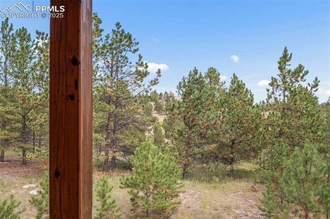 Tiny photo for 75 Midnight Lane, Florissant, CO 80816 (MLS # 5936074)