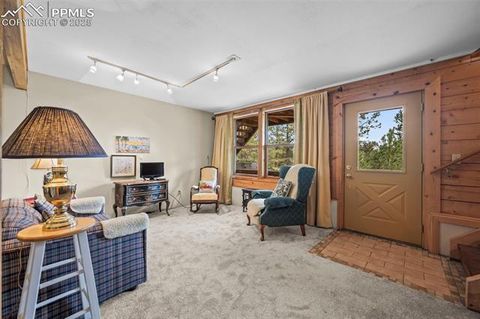 Tiny photo for 75 Midnight Lane, Florissant, CO 80816 (MLS # 5936074)