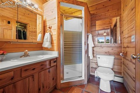 Tiny photo for 75 Midnight Lane, Florissant, CO 80816 (MLS # 5936074)