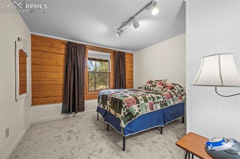 Tiny photo for 75 Midnight Lane, Florissant, CO 80816 (MLS # 5936074)