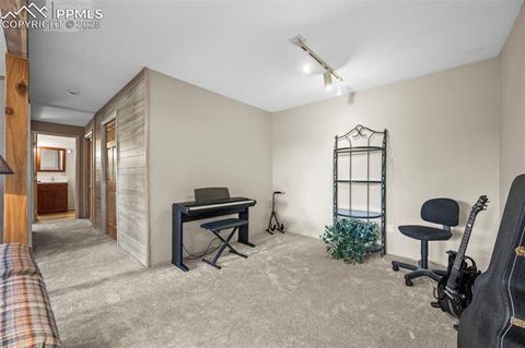 Tiny photo for 75 Midnight Lane, Florissant, CO 80816 (MLS # 5936074)