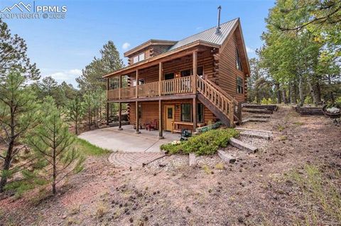 Tiny photo for 75 Midnight Lane, Florissant, CO 80816 (MLS # 5936074)