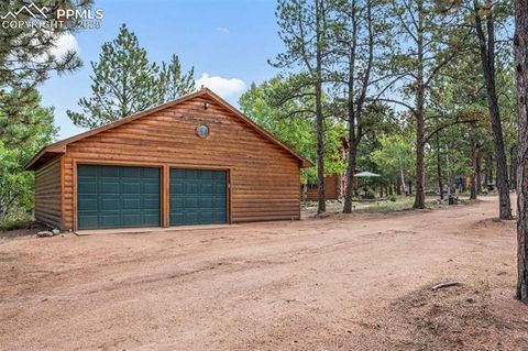 Tiny photo for 75 Midnight Lane, Florissant, CO 80816 (MLS # 5936074)