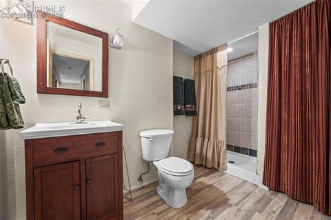 Tiny photo for 75 Midnight Lane, Florissant, CO 80816 (MLS # 5936074)