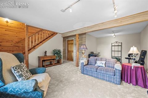 Tiny photo for 75 Midnight Lane, Florissant, CO 80816 (MLS # 5936074)