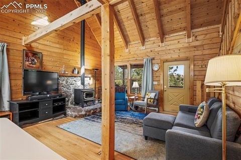 Tiny photo for 75 Midnight Lane, Florissant, CO 80816 (MLS # 5936074)