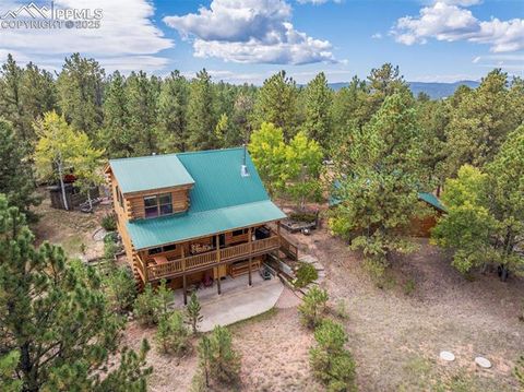 Tiny photo for 75 Midnight Lane, Florissant, CO 80816 (MLS # 5936074)