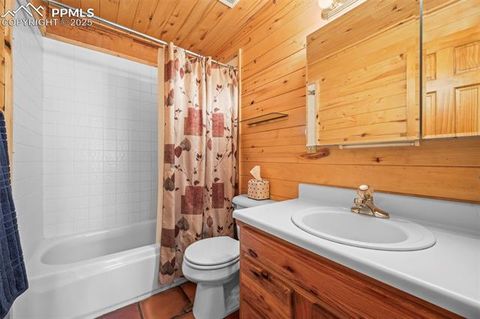 Tiny photo for 75 Midnight Lane, Florissant, CO 80816 (MLS # 5936074)