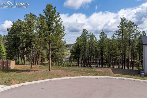 Photo of 1396 Roberts Ranch Road, Woodland Park, CO 80863 (MLS # 1295451)