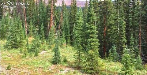 Photo of 765.2A, Almont, CO 81210 (MLS # 7794069)