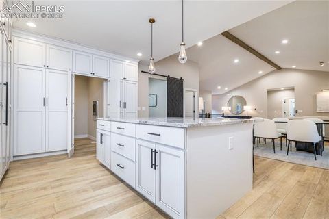 Tiny photo for 620 Chipmunk Drive, Woodland Park, CO 80863 (MLS # 4727602)