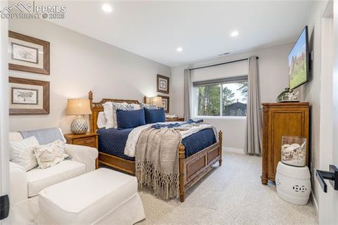 Tiny photo for 620 Chipmunk Drive, Woodland Park, CO 80863 (MLS # 4727602)