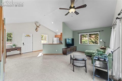 Tiny photo for 215 Southpark Road, Florissant, CO 80816 (MLS # 2260263)