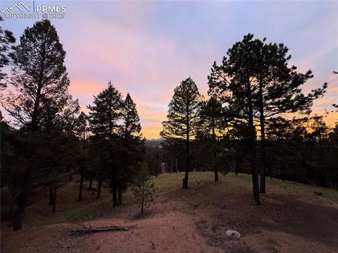 Tiny photo for 215 Southpark Road, Florissant, CO 80816 (MLS # 2260263)