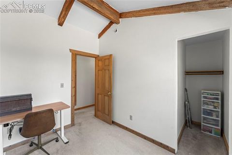 Tiny photo for 215 Southpark Road, Florissant, CO 80816 (MLS # 2260263)
