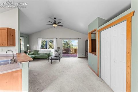 Tiny photo for 215 Southpark Road, Florissant, CO 80816 (MLS # 2260263)