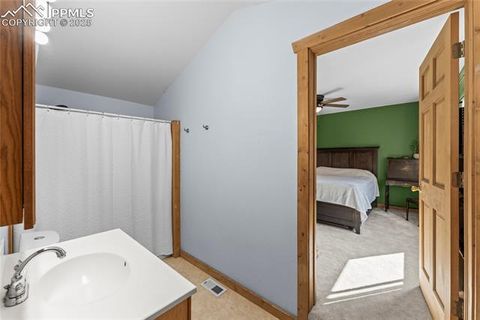 Tiny photo for 215 Southpark Road, Florissant, CO 80816 (MLS # 2260263)