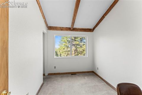Tiny photo for 215 Southpark Road, Florissant, CO 80816 (MLS # 2260263)