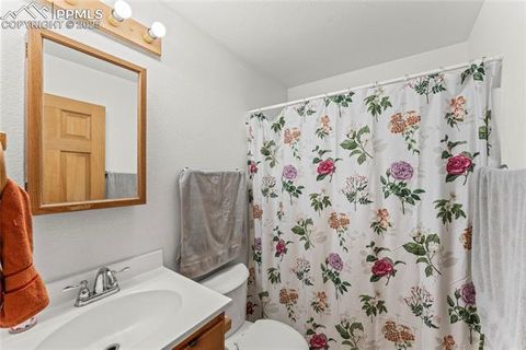 Tiny photo for 215 Southpark Road, Florissant, CO 80816 (MLS # 2260263)