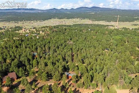 Tiny photo for 215 Southpark Road, Florissant, CO 80816 (MLS # 2260263)