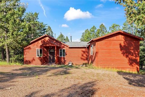 Tiny photo for 215 Southpark Road, Florissant, CO 80816 (MLS # 2260263)