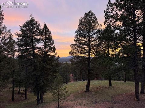 Tiny photo for 215 Southpark Road, Florissant, CO 80816 (MLS # 2260263)