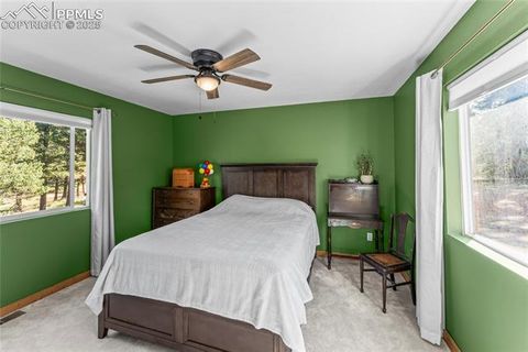 Tiny photo for 215 Southpark Road, Florissant, CO 80816 (MLS # 2260263)