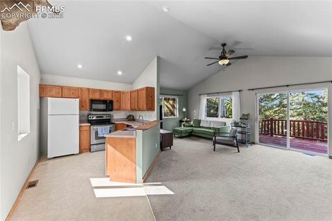 Tiny photo for 215 Southpark Road, Florissant, CO 80816 (MLS # 2260263)