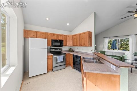 Tiny photo for 215 Southpark Road, Florissant, CO 80816 (MLS # 2260263)