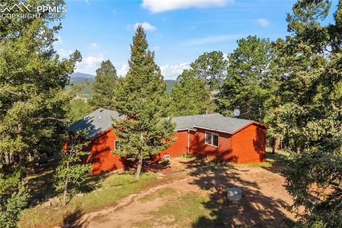 Tiny photo for 215 Southpark Road, Florissant, CO 80816 (MLS # 2260263)