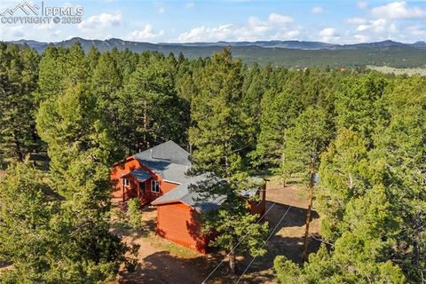 Tiny photo for 215 Southpark Road, Florissant, CO 80816 (MLS # 2260263)