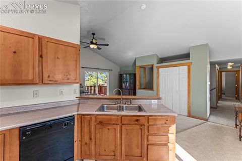 Tiny photo for 215 Southpark Road, Florissant, CO 80816 (MLS # 2260263)