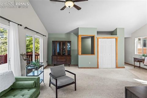 Tiny photo for 215 Southpark Road, Florissant, CO 80816 (MLS # 2260263)