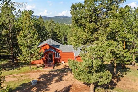 Tiny photo for 215 Southpark Road, Florissant, CO 80816 (MLS # 2260263)